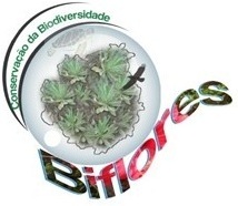 BIFLORES