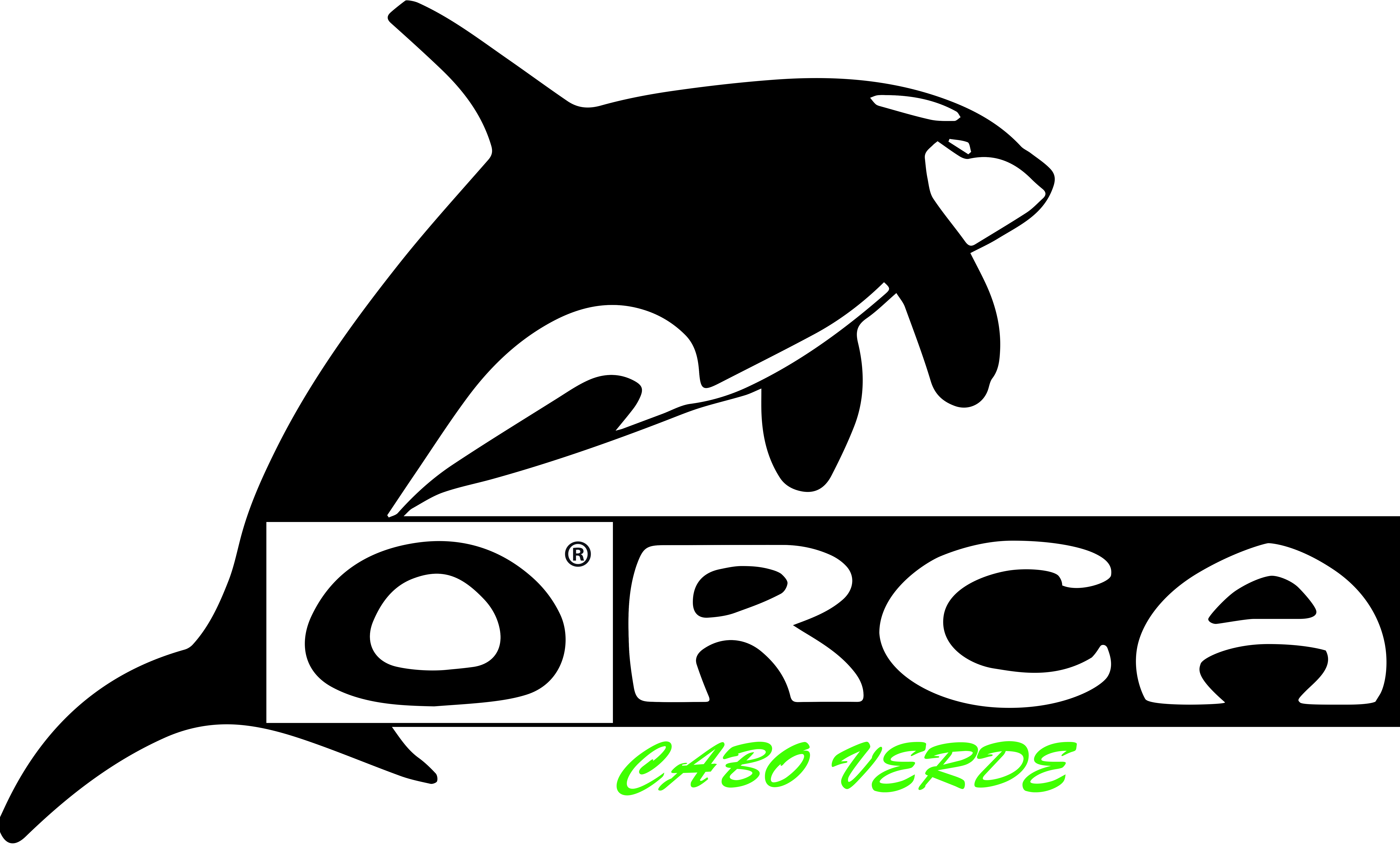 ORCA CV